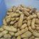Cooksnap dari Diah Kartika untuk resep Kacang Godog Tahan 1minggu