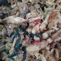Cooksnap dari Yunita DR untuk resep 66. Ayam Sisit Rica Kemangi