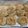 anne16's cooksnap of when they made Tinklee's Biscuits.