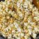 Cooksnap Dania Halim semasa beliau membuat Popcorn salted caramel.