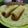 El cooksnap de paola cuando hizo Panqueques para canelones o para dulces.