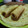 El cooksnap de paola cuando hizo Panqueques para canelones o para dulces.