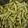Cooksnap dari Rere untuk resep Spicy Garlic Edamame