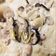 Cooksnap dari Mariana Ari untuk resep Creamy Chicken Mushroom(Ayam masak kream kental)