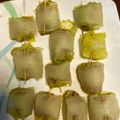 Cooksnap dari Wiwit Setiyawati untuk resep Kornet gulung sawi dengan saus cheong fan