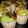 Cooksnap dari evie fatmawati untuk resep Muffin Pandan Keju No Mixer