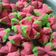 Cooksnap dari wasilatul chasanah untuk resep 🍉🍉Bolu Kukus Mekar Semangka🍉🍉