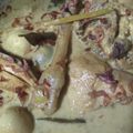 Cooksnap dari Jannatin Alfafa untuk resep Opor Ayam