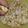Cooksnap dari Santi Fajriani untuk resep Pop Corn (Sweet Salty)