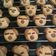 Cooksnap dari desaksuadnyani untuk resep Milo doggie cookies