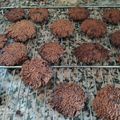 El cooksnap de Esperanza Gomez cuando hizo Galletas de mantequilla (aptas keto).