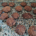 El cooksnap de Esperanza Gomez cuando hizo Galletas de mantequilla (aptas keto).