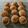 Cooksnap dari Dewi N untuk resep (Sourdough Discard) Mini Burger Buns