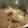 El cooksnap de jcsanchezsaldana cuando hizo Carnitas.