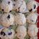 El cooksnap de Karina Franco cuando hizo MUFFINS DE VAINILLA Y ARÁNDANOS CON CRUMBLE 🫐🧁.