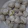 Cooksnap dari atma untuk resep Cilok Empuk