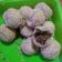 Cooksnap dari Holly Muetz untuk resep Onde Onde wijen isi kacang ijo kupas,ga meletus