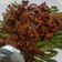 Cooksnap dari Amei untuk resep Baby Buncis Tumis Daging Cincang
