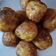 Meena Mathur का कुकस्नैप जब उन्होंने साबूदाना अप्पे (sabudana appe recipe in Hindi) बनाया था।