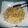 Cooksnap από dcroula στη συνταγή Penne con tono