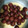Iyal's cooksnap of when they made குலோப் ஜாமூன் மிக்ஸ் வித் வீட் குலோப் ஜாமூன்(gulab jamun recipe in tamil).