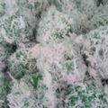 Cooksnap dari missjeshe untuk resep Klepon ketan gula merah