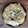 Cooksnap de Lo Reine sur la recette Tarte croustillante aux champignons, courgettes et mozzarella