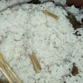 Cooksnap dari Ririn Alfa untuk resep NASI UDUK Magicom