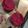 Sonia's cooksnap of when they made Beetroot patty.