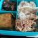 Cooksnap dari DAPUR SUKA SUKA untuk resep Sayur Lodeh Nangka Muda Pedas