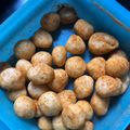 Cooksnap dari veey untuk resep Cimol Anti Meledak