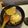 Cooksnap από georgeK21 στη συνταγή Μπριζόλες μοσχαρίσιες στο τηγάνι με μουστάρδα και λεμόνι