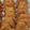 Cooksnap dari Iis Cholillah untuk resep Risoles mentai