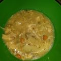 55dweezee's cooksnap of when they made Chicken Dumpling's.