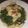 Cooksnap dari fitry Lasaruu untuk resep Kangkung Belacan