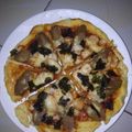 Cooksnap dari Amel Liya untuk resep Pizza Teflon Endeus😍