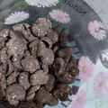 Tasneem Khan's cooksnap of when they made Multigrain Choco Cereal | Choco Flakes | bake without oven.