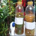 Cooksnap dari ahmad syauqi untuk resep Cara Membuat Eco Enzyme