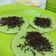 Cooksnap dari elvin untuk resep Martabak manis teflon