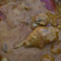 Cooksnap dari renda megaverona untuk resep Indian Chicken Curry
