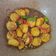 Cooksnap dari Fifien untuk resep Tofu Saus Tiram