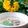 Annie Vo's cooksnap of when they made Cháo sườn heo nấm rơm.