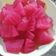 Cooksnap dari MI Cingkrong Sri Utami untuk resep Manisan buah bligo basah