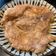 irene wu 的 香蒜豬排 cooksnap