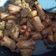 Cooksnap dari Mama Azzam untuk resep Tumis bakso sosis saus tiram