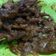 Cooksnap dari Helen Harianto untuk resep Sate kikil