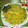 Salwise's Kitchen 's cooksnap of when they made Jollof couscous.