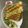 Bhavana Shah's cooksnap of when they made ચીઝ સેન્ડવિચ (Cheese Sandwich Recipe In Gujarati).