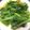 棠棠 的 薑絲炒小芥菜 cooksnap