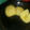 El cooksnap de Aniki Latino cuando hizo Manzana hervida con un toque de canela.